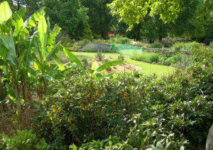 Green Garden