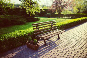 Bench  in park